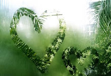 荷乙最新比分赛果有哪些看点？各球队表现如何？