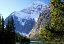 2021年巴甲赛程比分结果都有哪些关键看点？