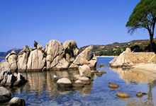 北单足球官网首页能提供哪些服务？如何高效使用其功能？